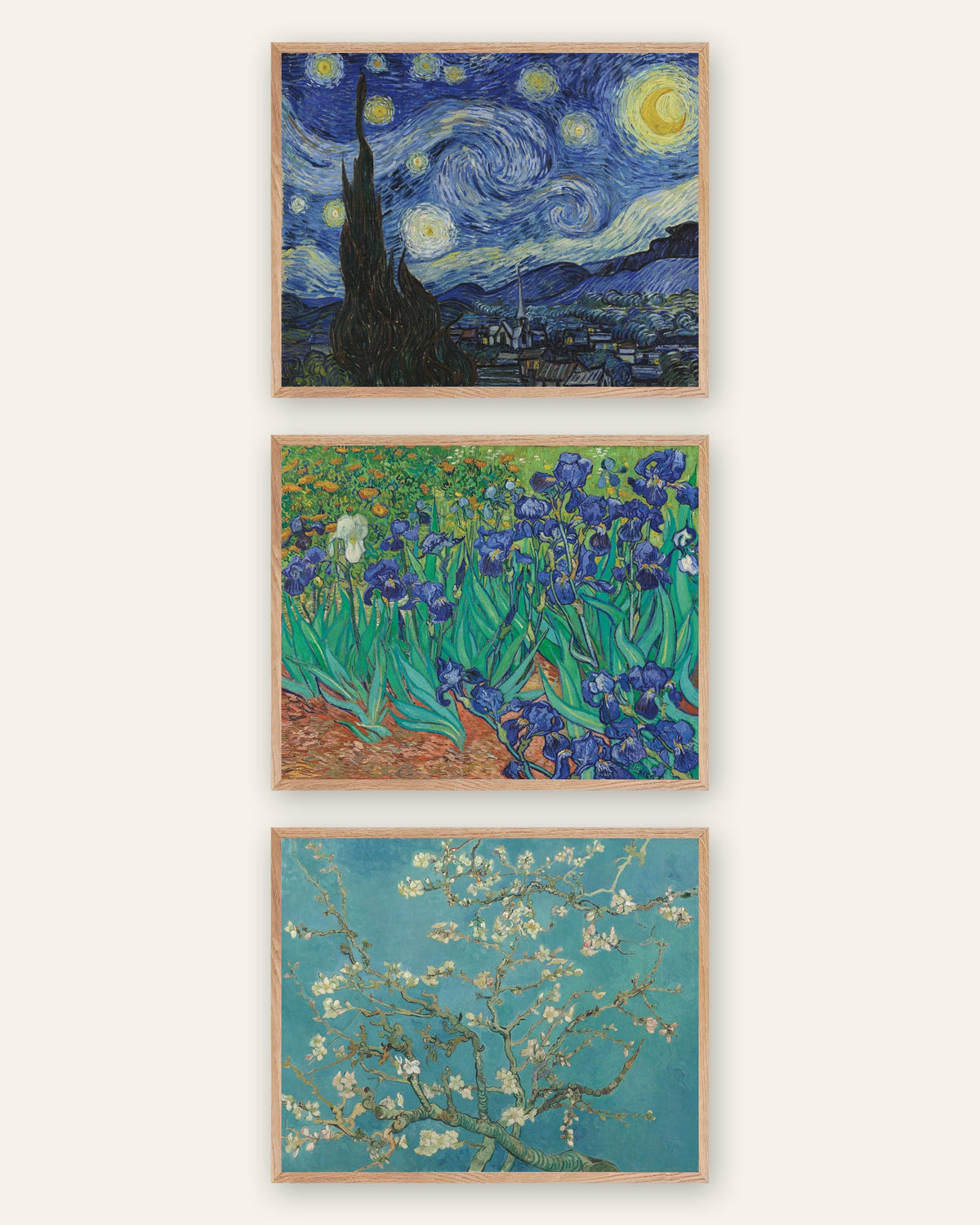 Van Gogh-postere, sett med 3: Stjernenatt, Iris og Mandelblomster, i rammer av natureik