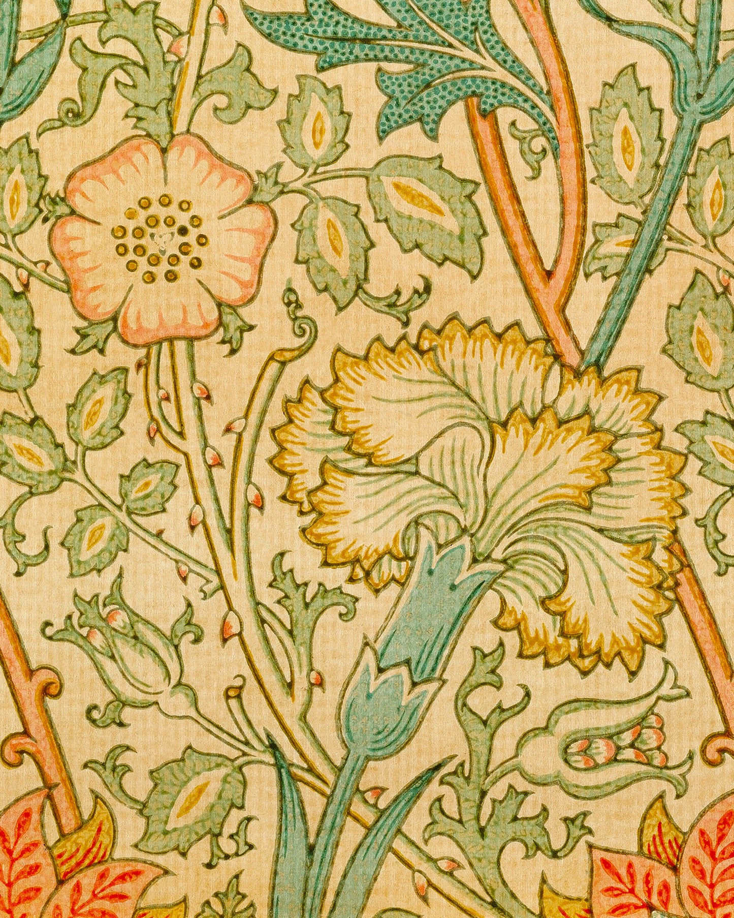 William Morris Wallpaper - Poster