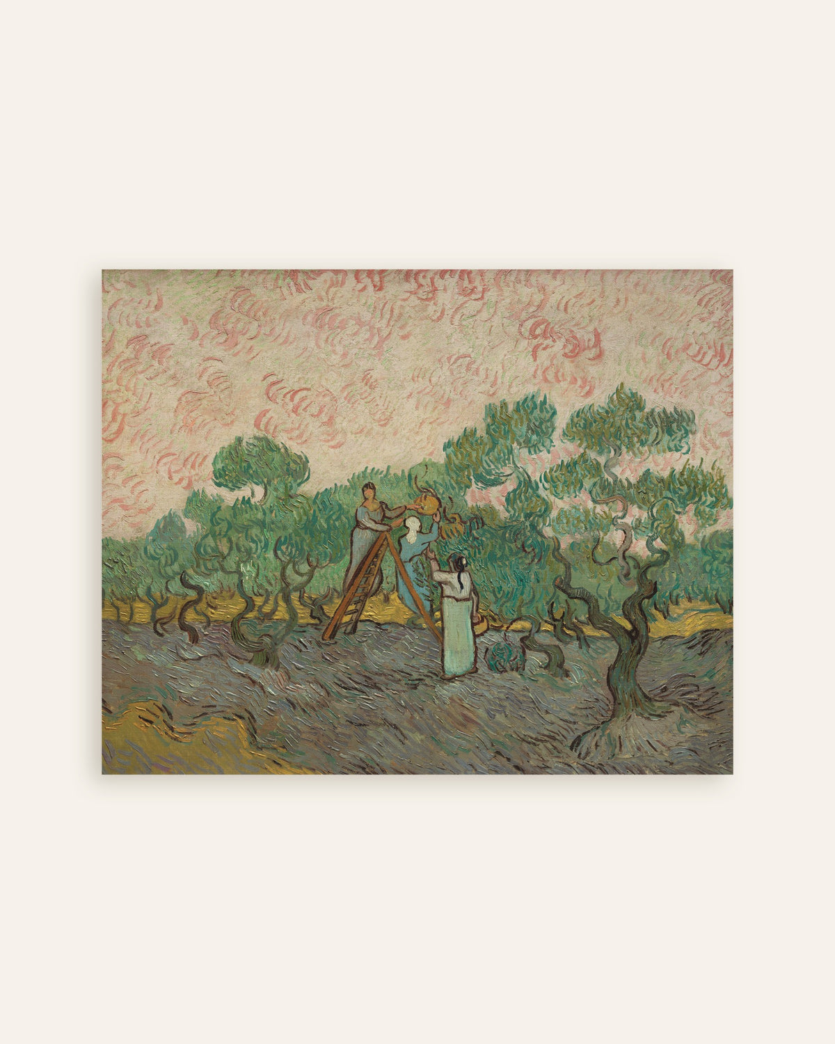 Poster av Kvinner som plukker oliven (1889) av Vincent van Gogh, miniatyrbilde