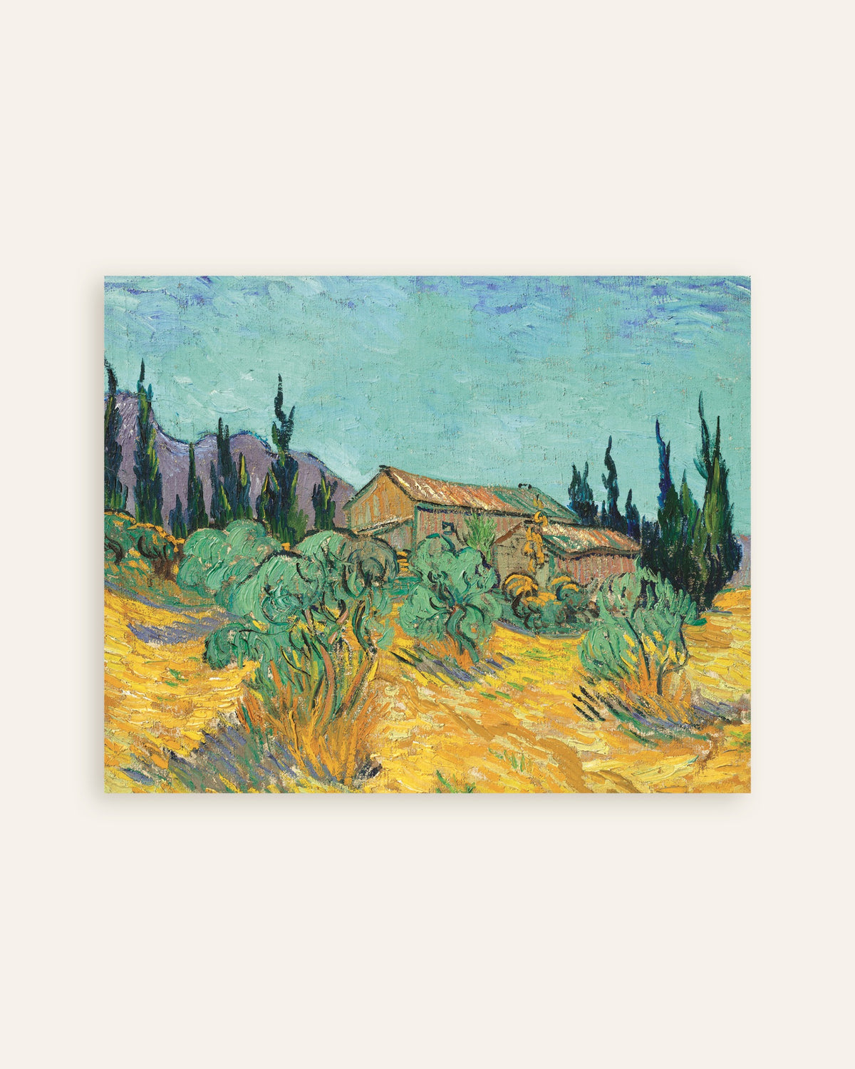 Poster av Trehytter blant oliventrær og sypresser (1889) av Vincent van Gogh, miniatyr